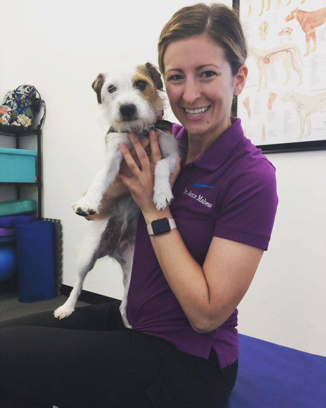 Dr. Jamie | Full Motion Family Chiropractic - Veterinary Spine &  Rehabilitation
